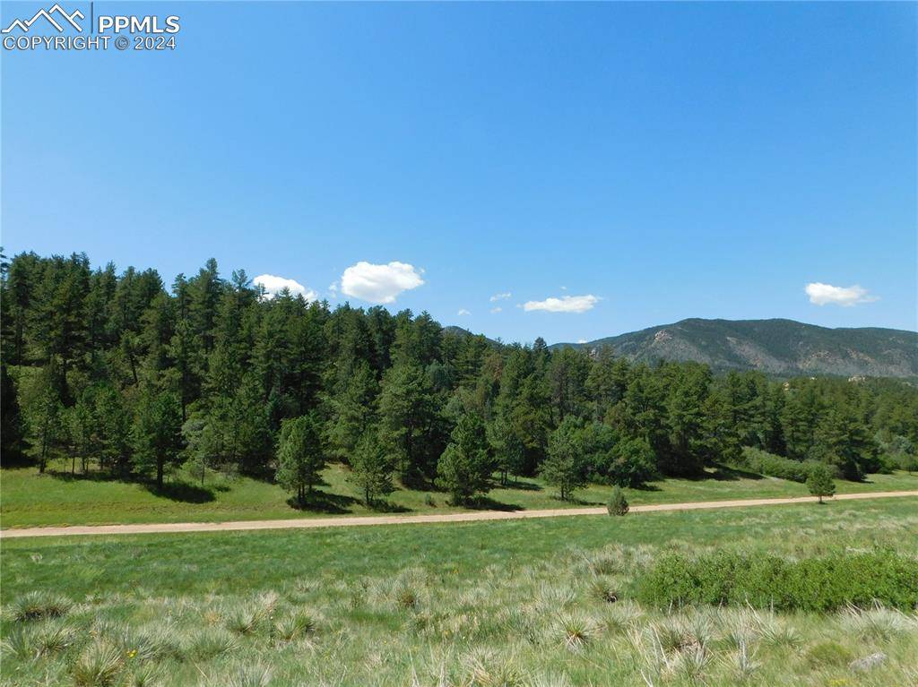 Larkspur, CO 80118,4668 Comanche DR