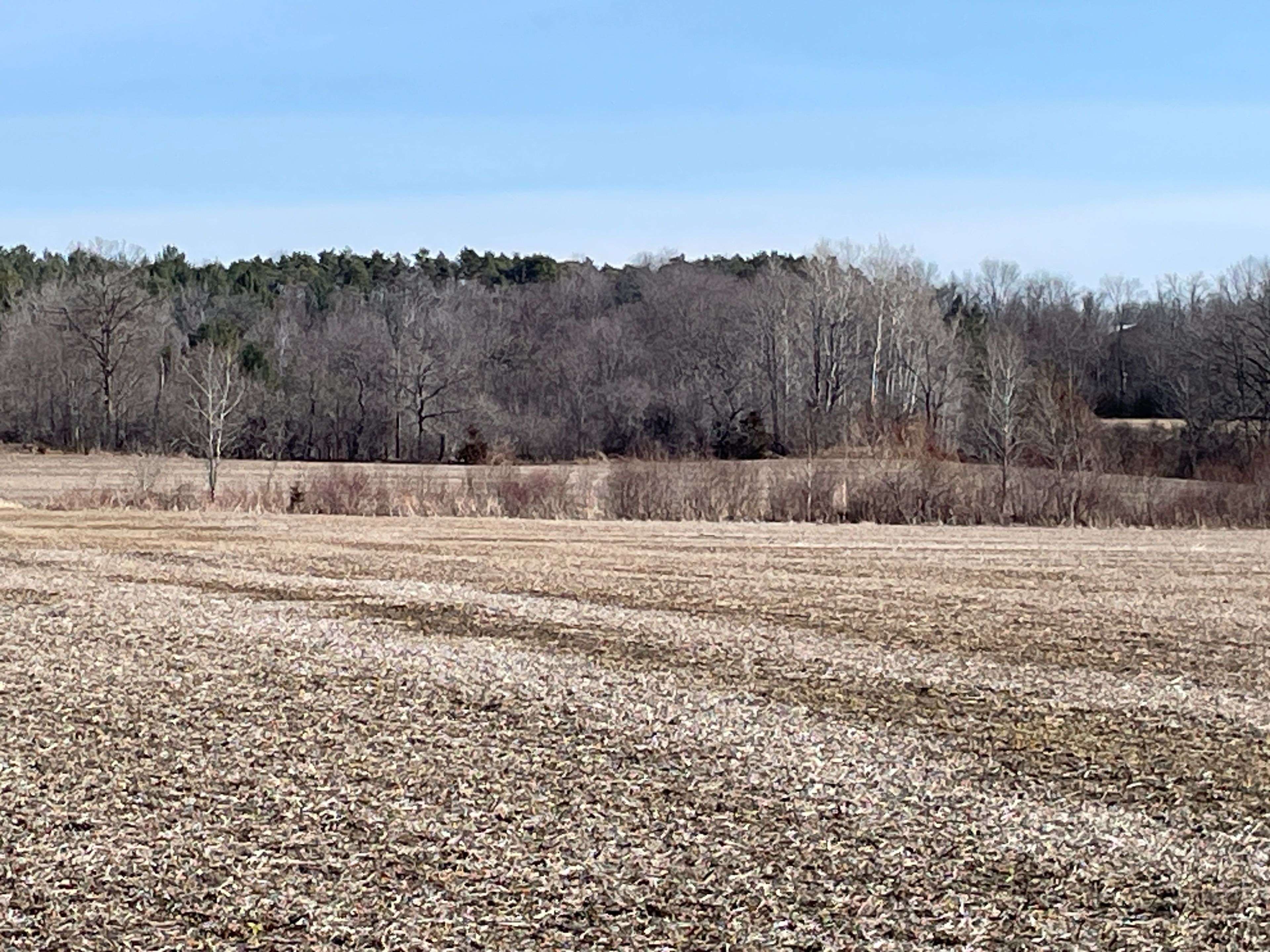 Belleville, ON K0K 3E0,136 TOWNSEND RD