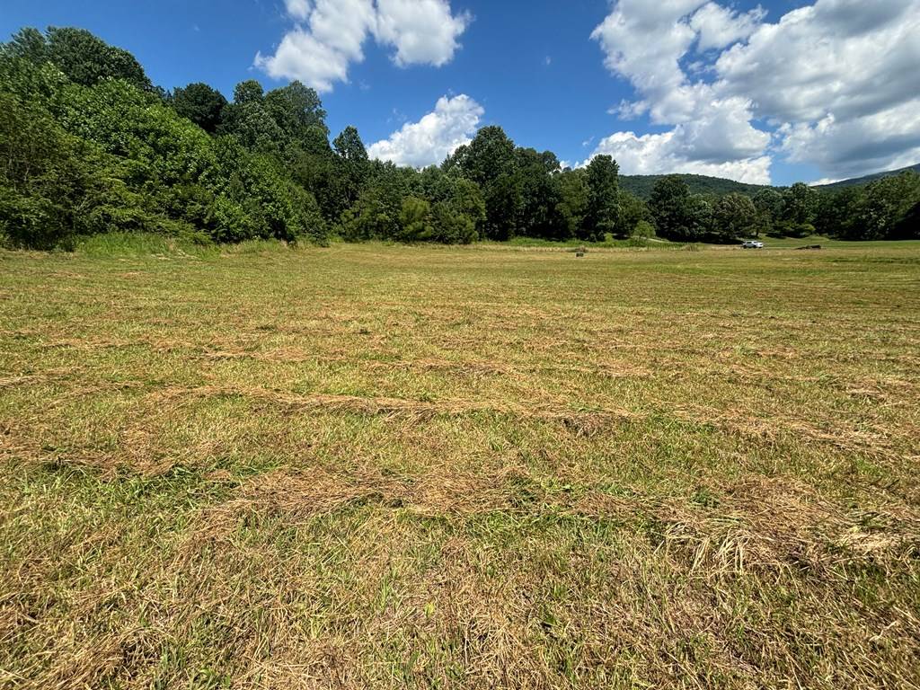 Young Harris, GA 30582,Lot 8,9 Willow Pond Road