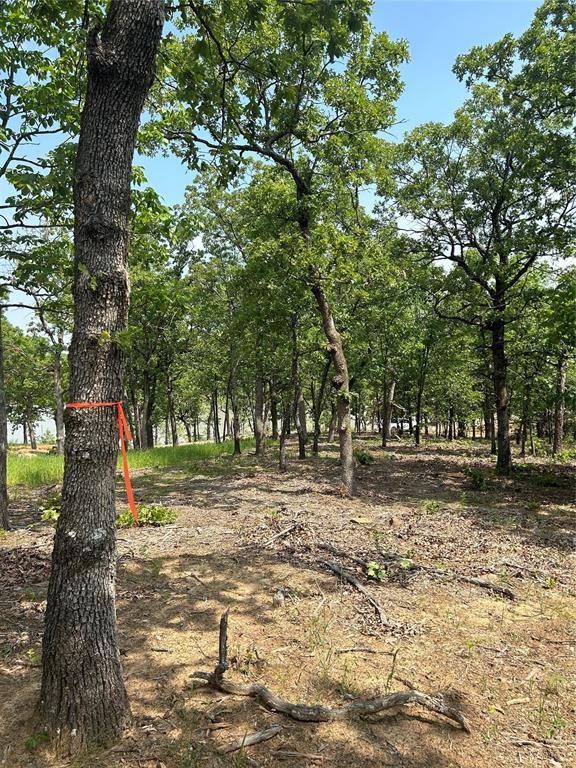 Eufaula, OK 74432,Lot 237 Patriot Pointe