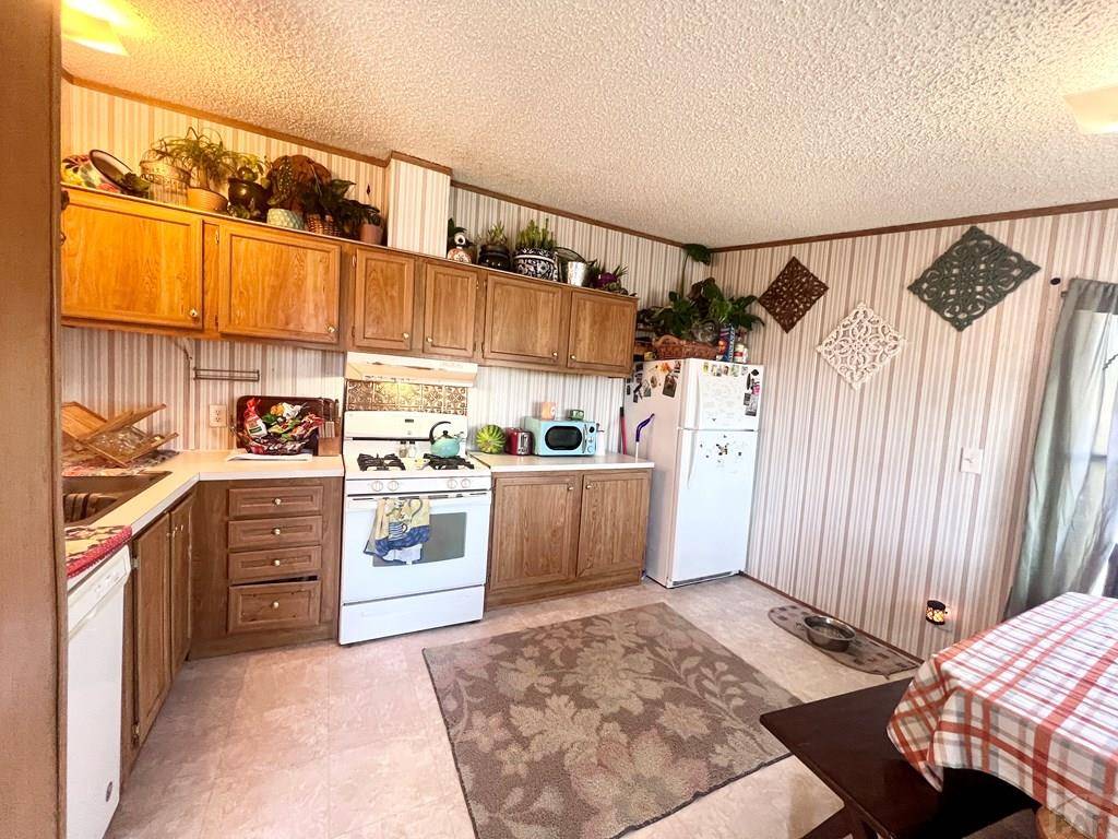 Pueblo, CO 81005,5000 E Red Creek Springs Rd