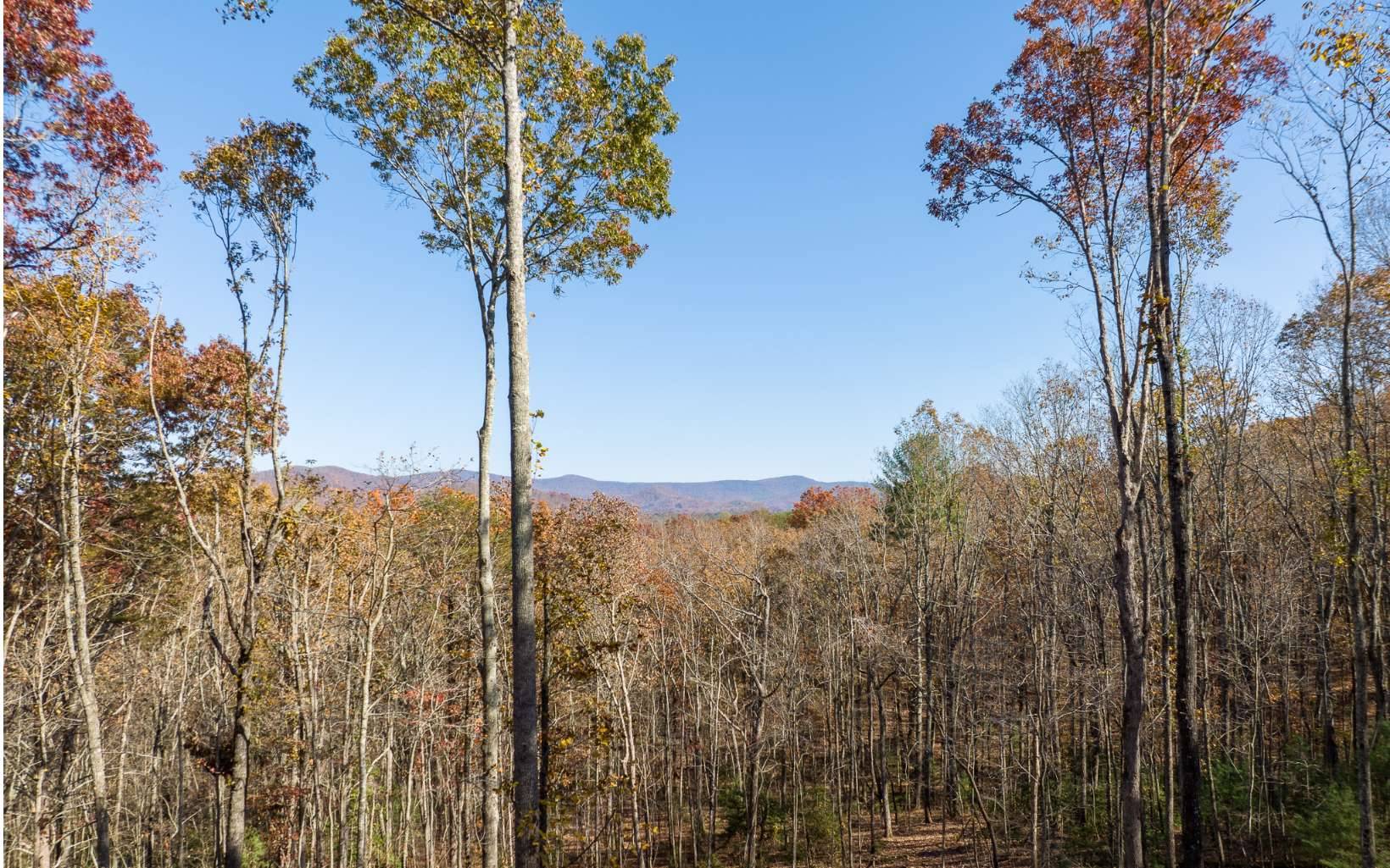 Ellijay, GA 30536,19R Settlement Trail