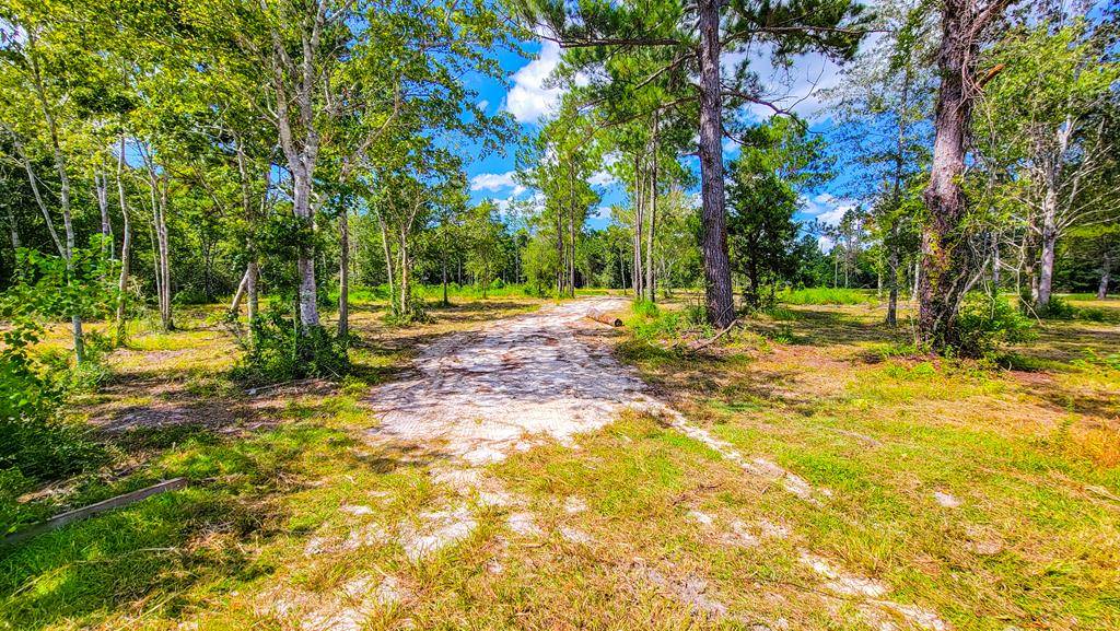 Wewahitchka, FL 32465,TBD Myers Rd