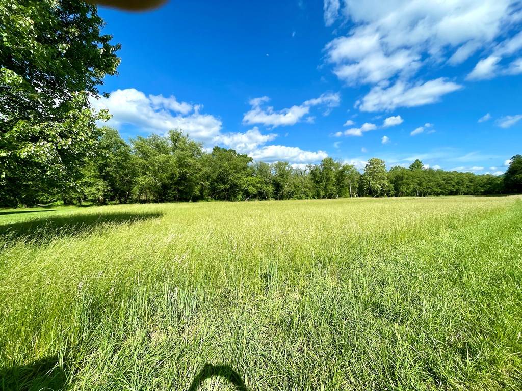 Warne, NC 28909,Lot 54 Brasstown Trail