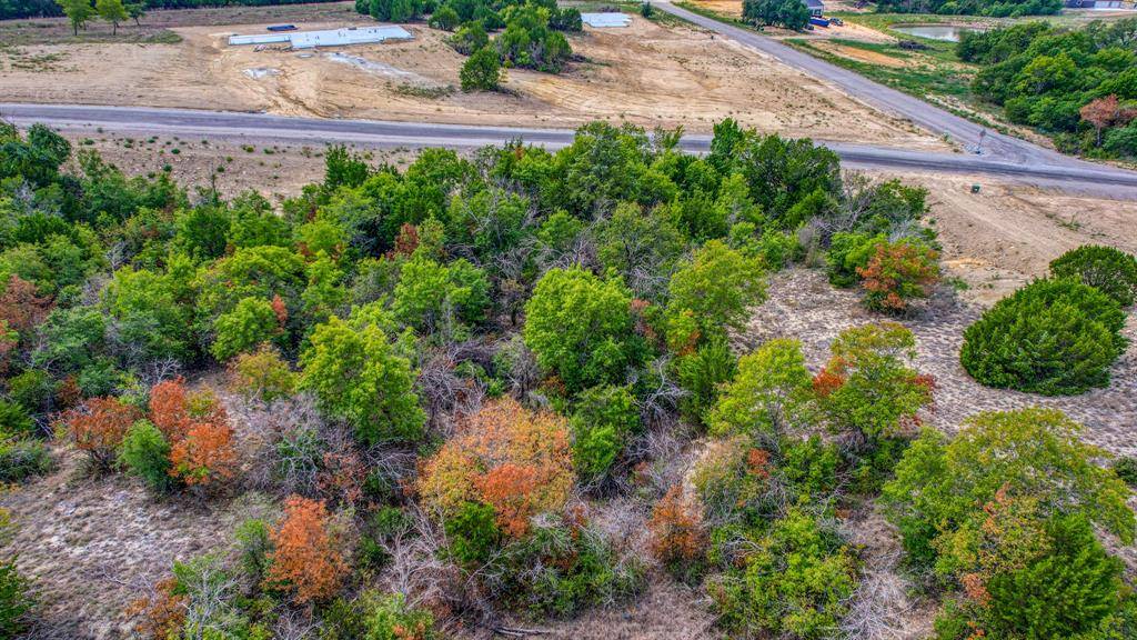 Weatherford, TX 76088,Lot 87 Latigo Way