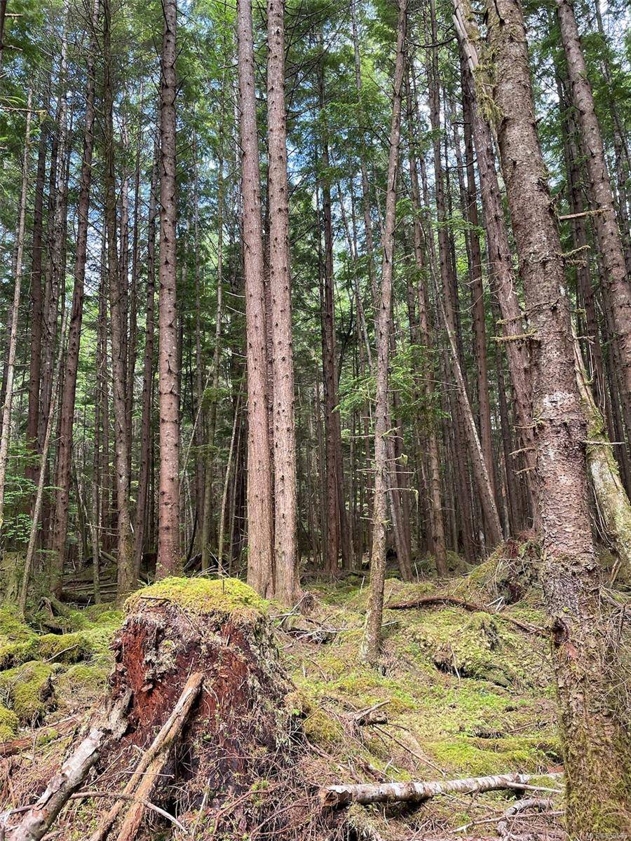 Malcolm Island, BC V0N 3E0,55 Lands End Rd