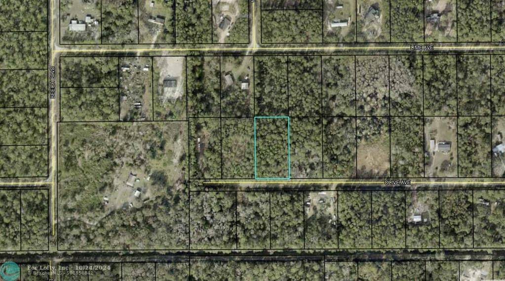 Bunnell, FL 32110,5274 Olive Ave