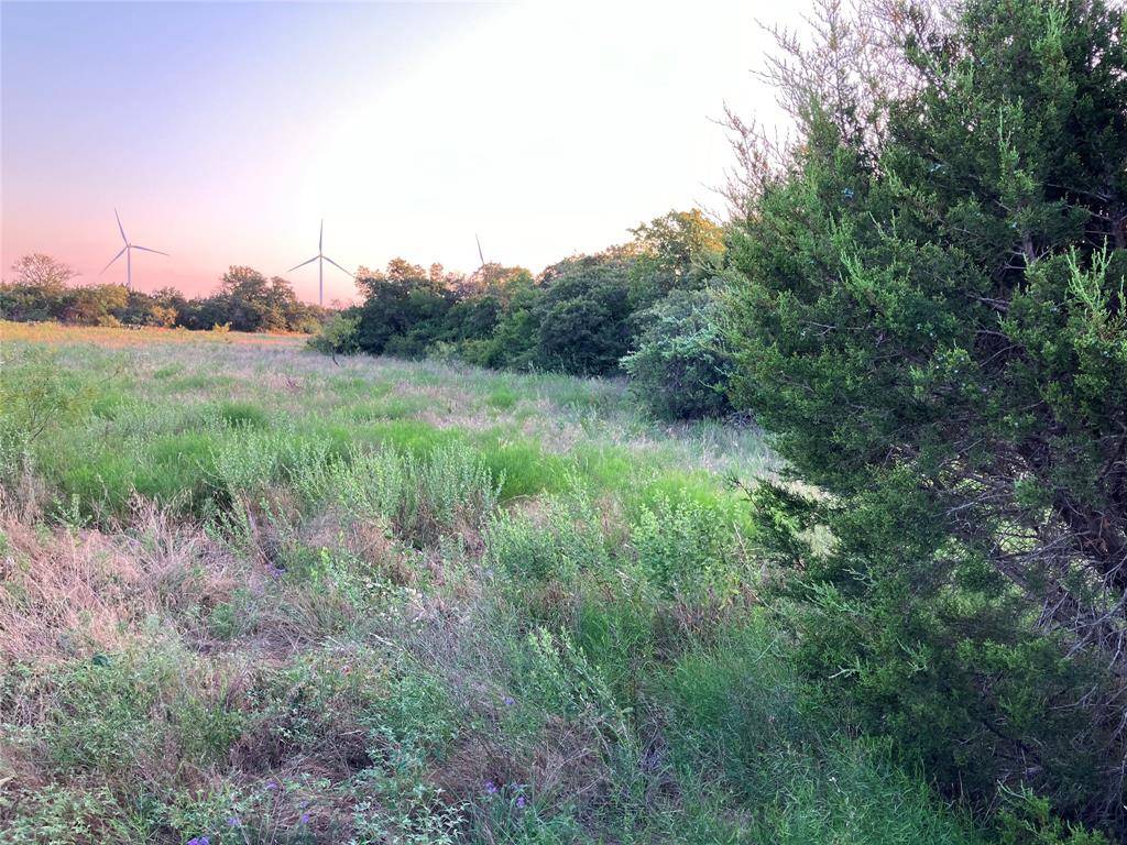 Desdemona, TX 76445,Tract 19- CR 493