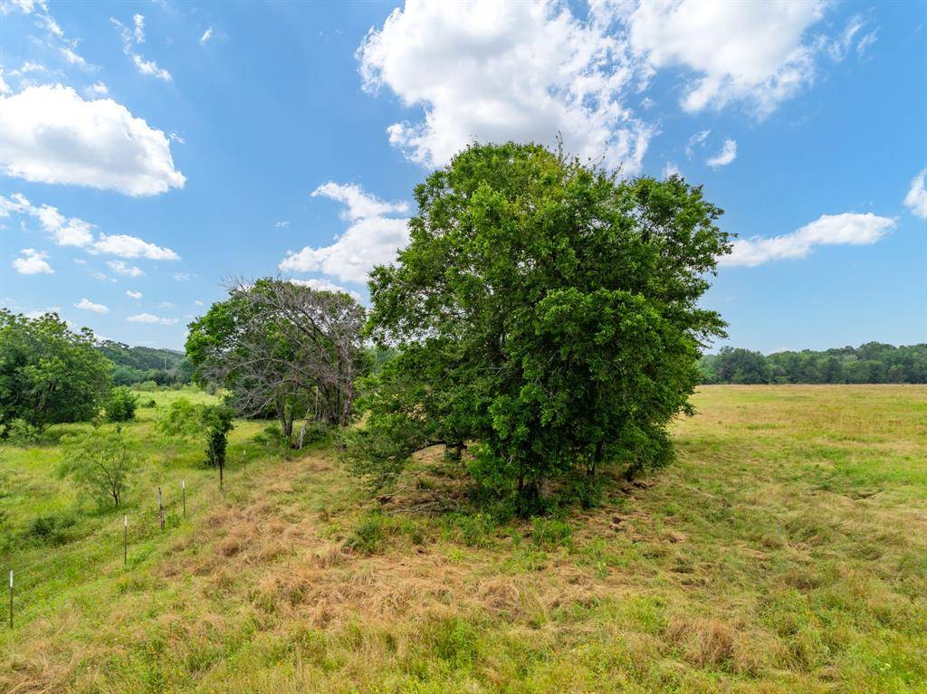 Hubbard, TX 76648,TBD NW County Road 3240