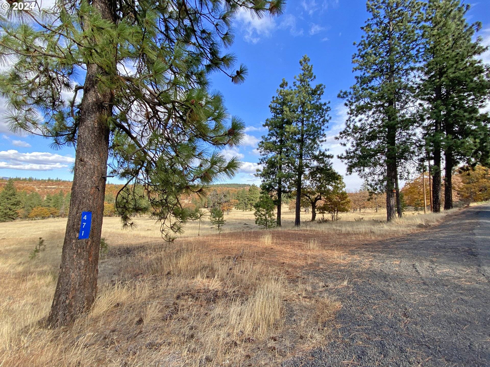 Goldendale, WA 98620,471 Woodland RD