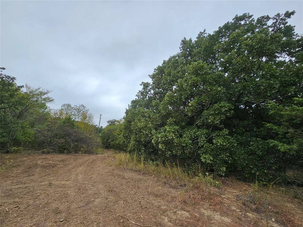 Denison, TX 75020,TBD Layne Drive