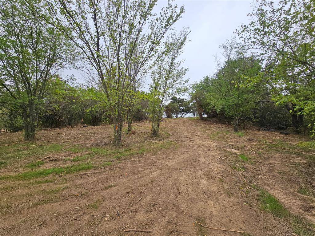 Denison, TX 75020,TBD Layne Drive