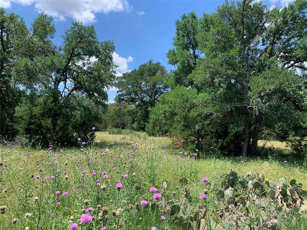 Austin, TX 78737,Lot #0 Trautwein Road