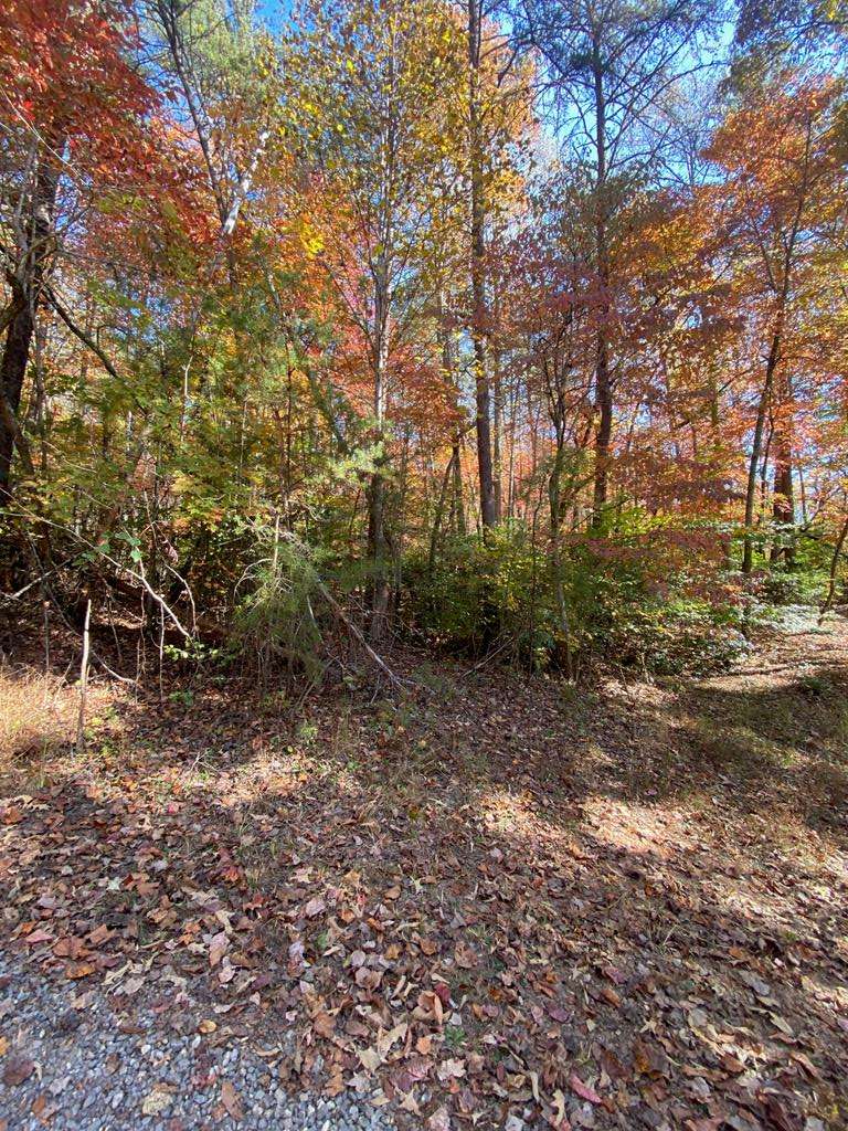 Hayesville, NC 29804,Lot 3 Sharons Valley Drive