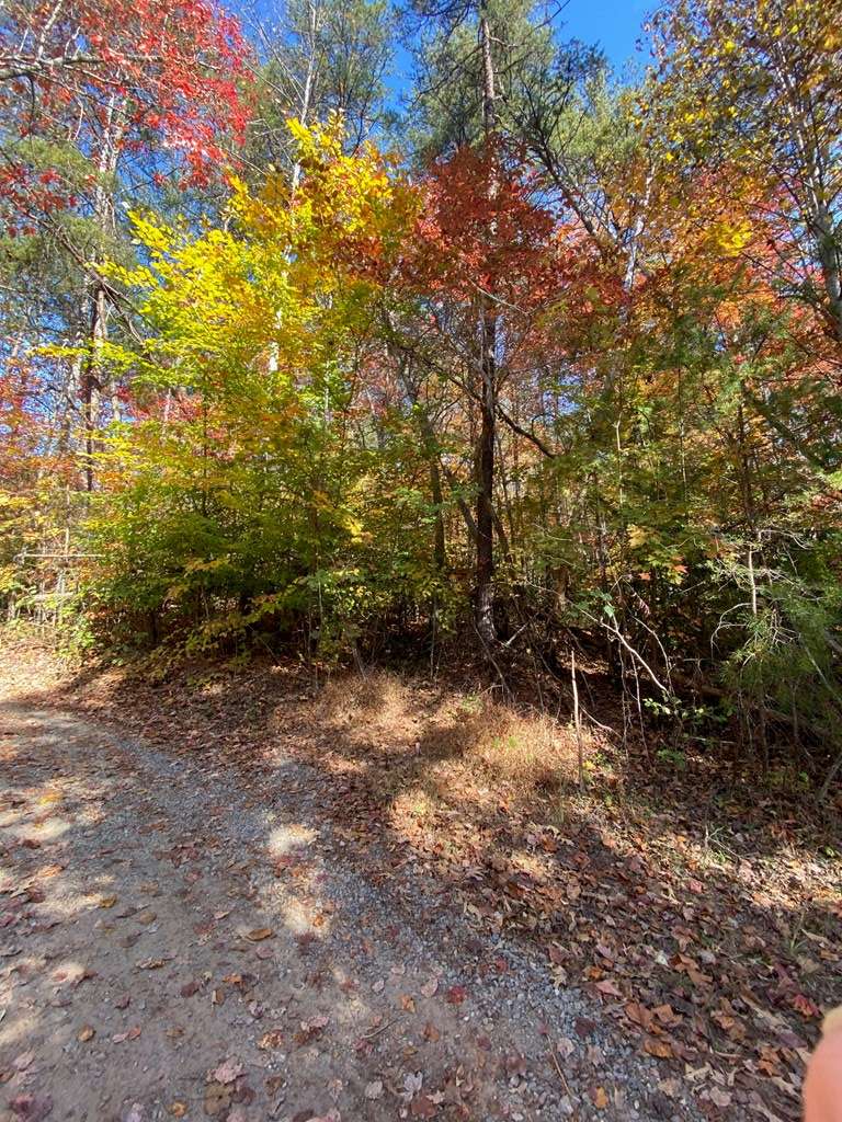 Hayesville, NC 29804,Lot 3 Sharons Valley Drive