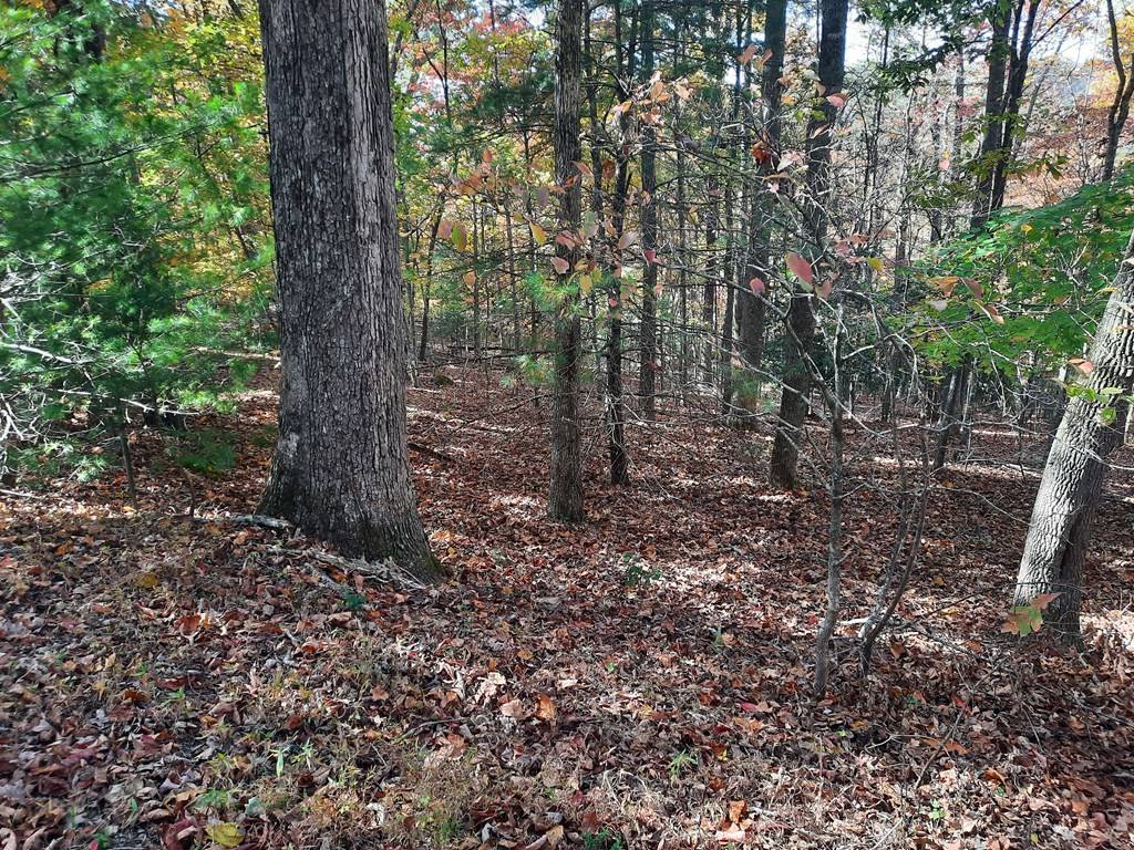 Blairsville, GA 30512,Lot 33 V Addington Road