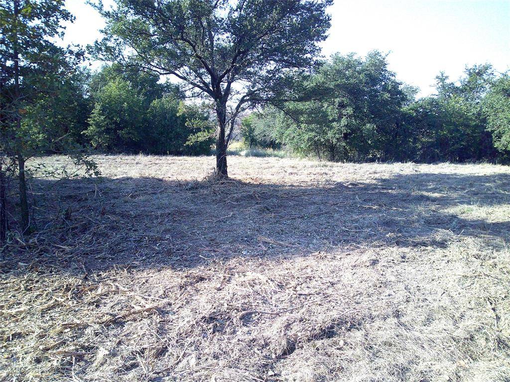 Paradise, TX 76073,72 ac CR 3677