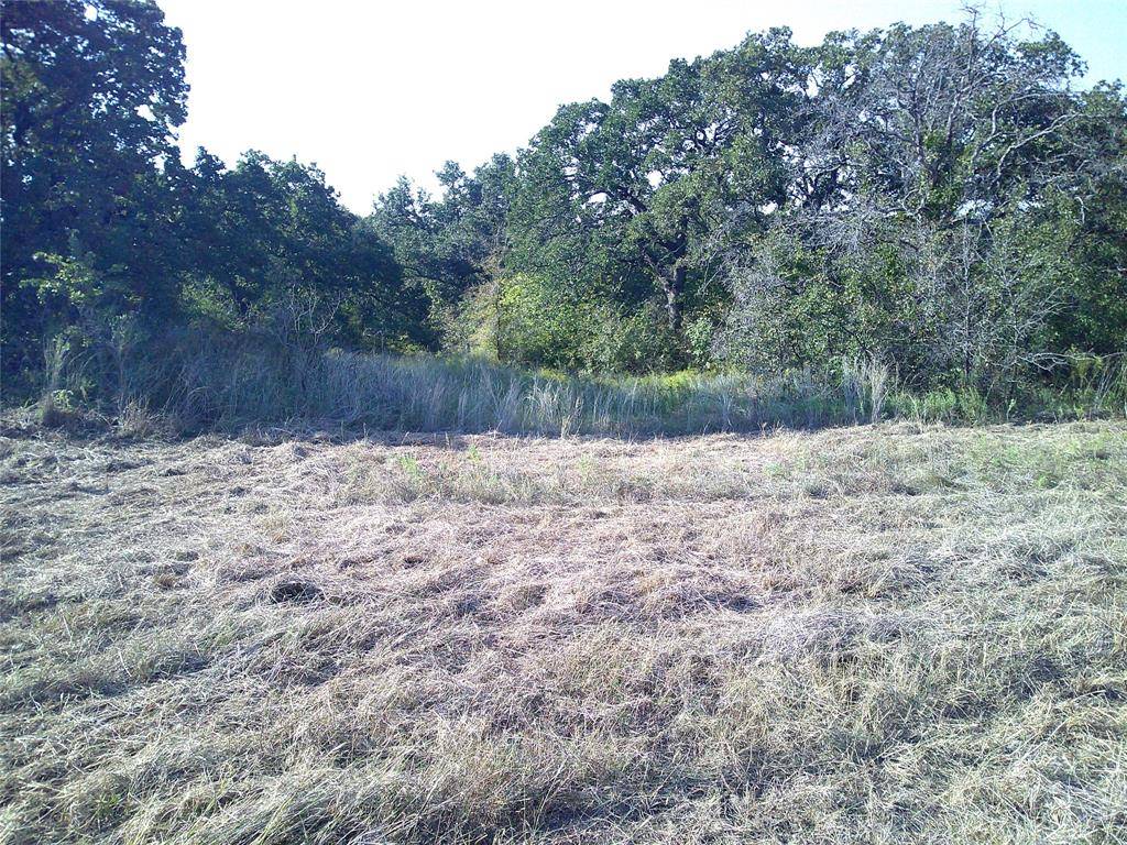 Paradise, TX 76073,72 ac CR 3677