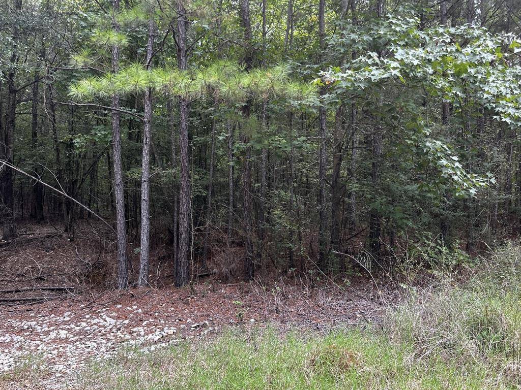 Grand Cane, LA 71032,0 Cordova Road