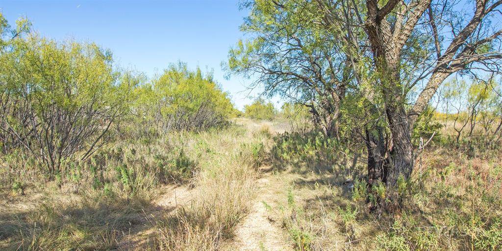 Abilene, TX 79606,Lot #1 7050 Autumn Sage Lane