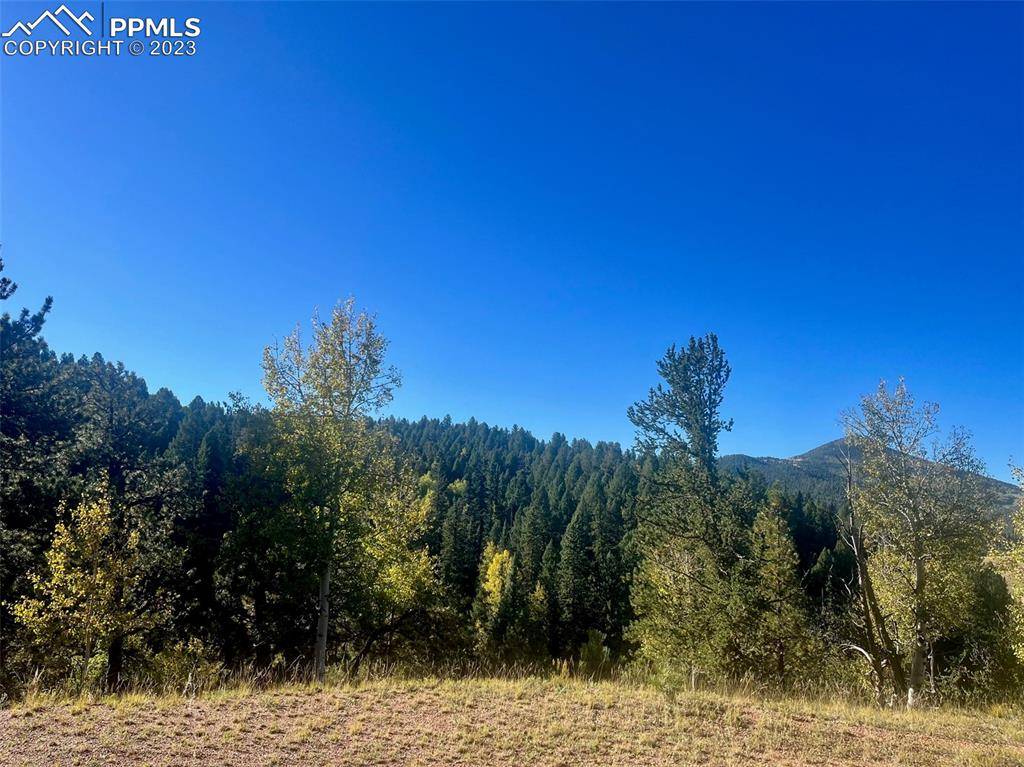 Cripple Creek, CO 80813,456 Idlewild DR