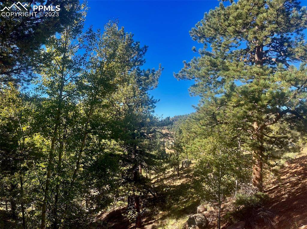 Cripple Creek, CO 80813,456 Idlewild DR