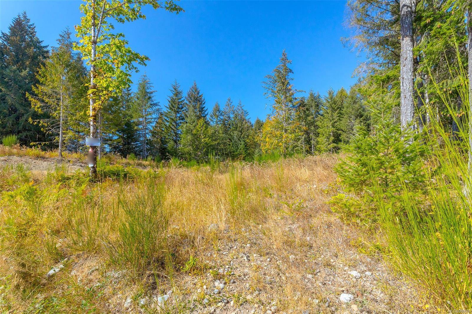 Duncan, BC V9L 6G5,LOT 8 Barnjum Rd