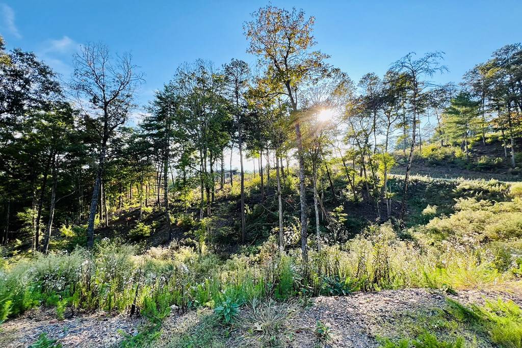 Mineral Bluff, GA 30559,Lot 17 Mountain Laurel Ridge