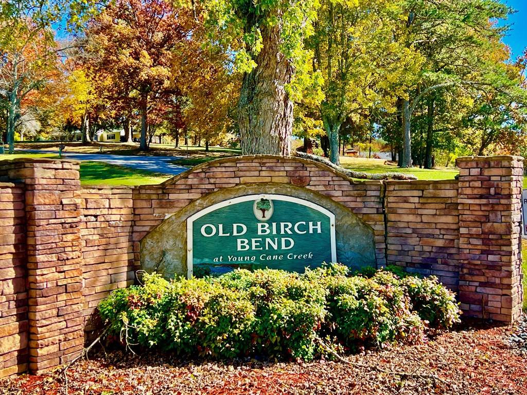 Blairsville, GA 30512,51 Old Birch Bend Court