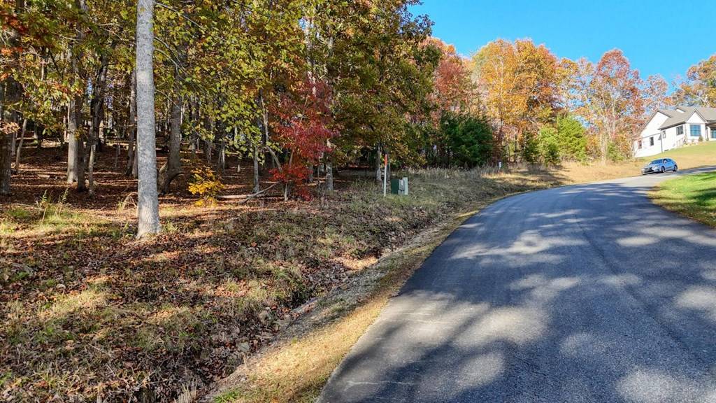 Blairsville, GA 30512,LOT 161 Old Owen Drive