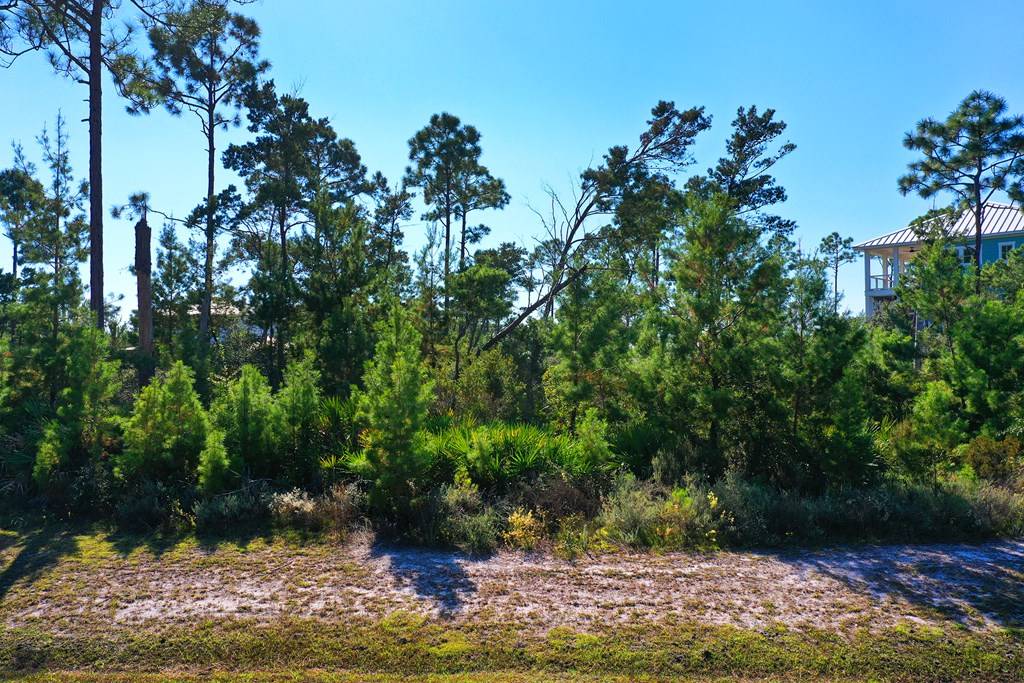 Port St. Joe, FL 32456,Lot 46 S Brooks Ave