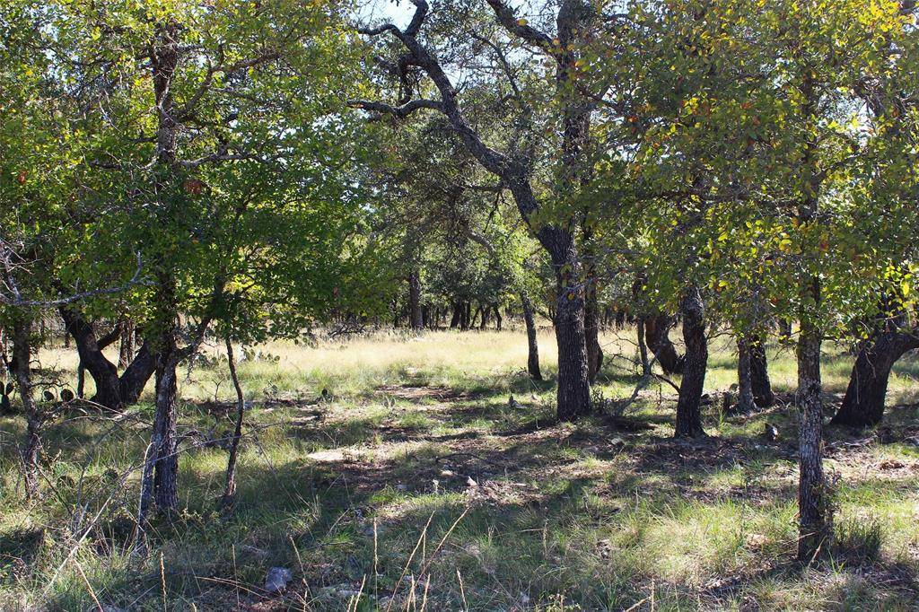 May, TX 76857,253 Oak Point Drive