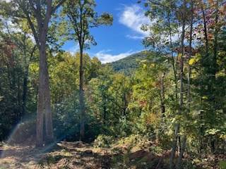 Blairsville, GA 30512,Lot 74 Mine Cart Trail