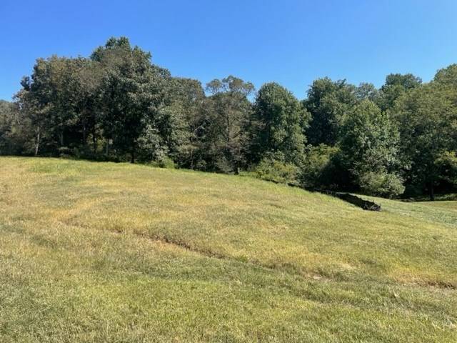 Ellijay, GA 30536,Lot 16 Clear Creek Preserve Way