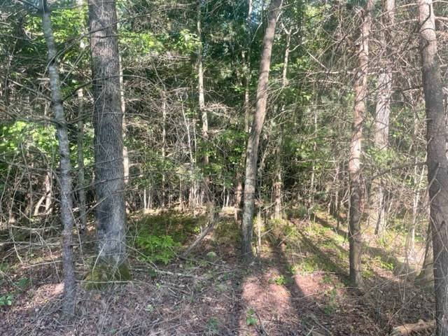 Ellijay, GA 30536,Lot 14 Clear Creek Preserve Way