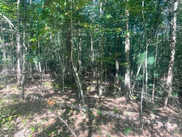 Ellijay, GA 30536,Lot 13 Clear Creek Preserve Way