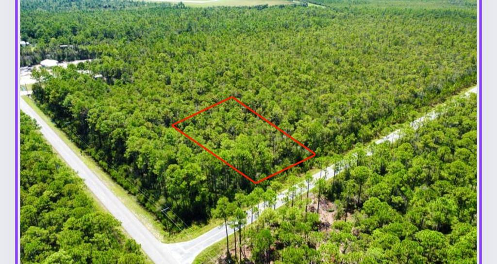 Apalachicola, FL 32320,Lot 16 Peachtree Rd