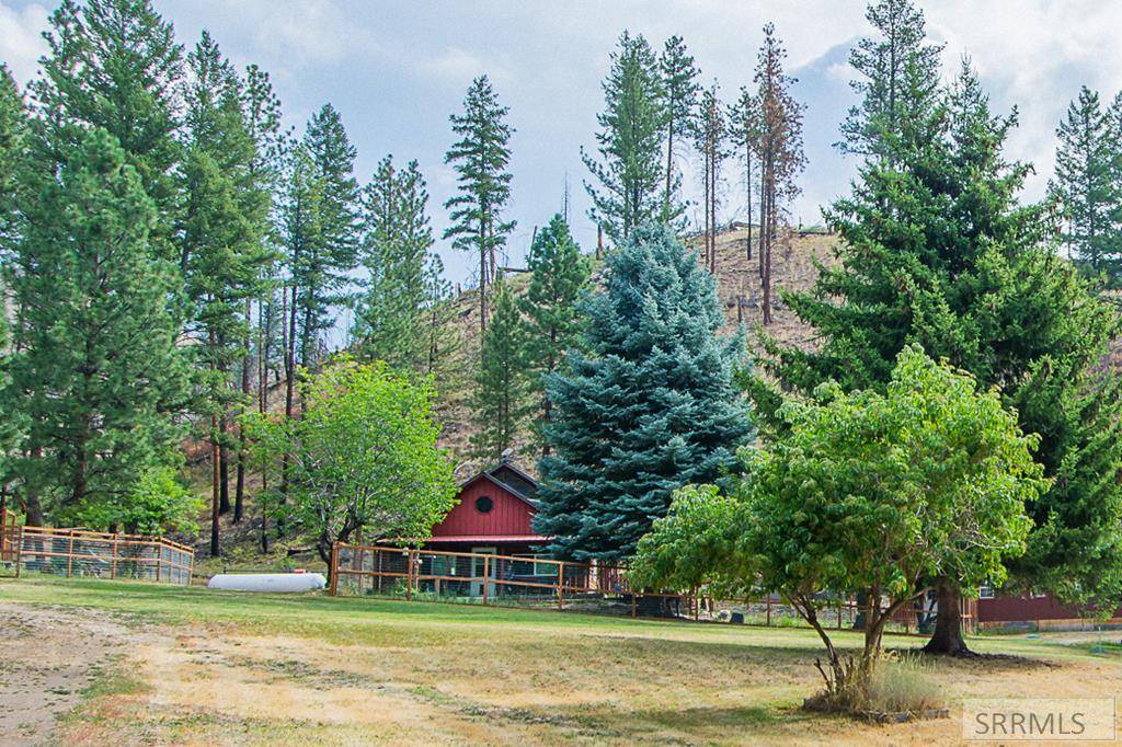 North Fork, ID 83466,255 Spring Creek