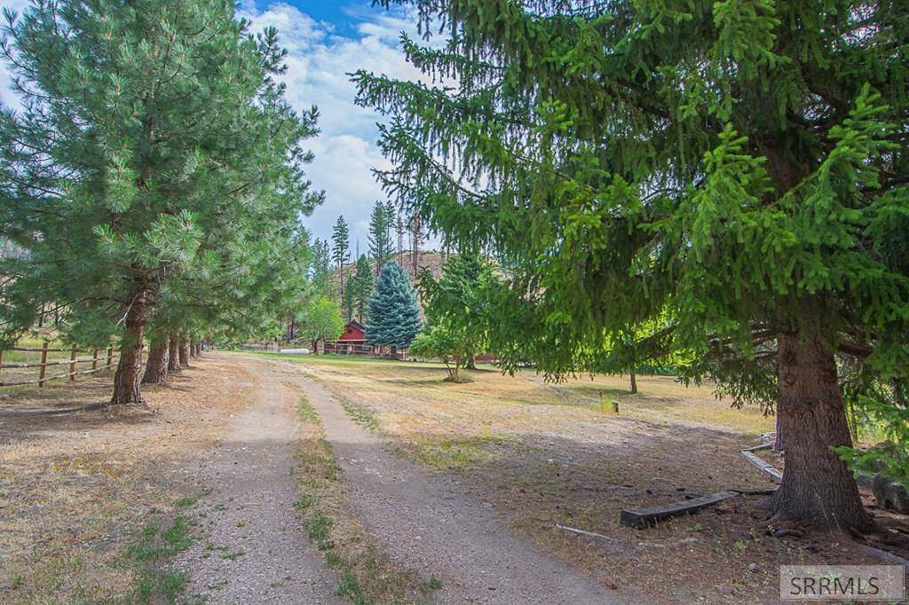 North Fork, ID 83466,255 Spring Creek