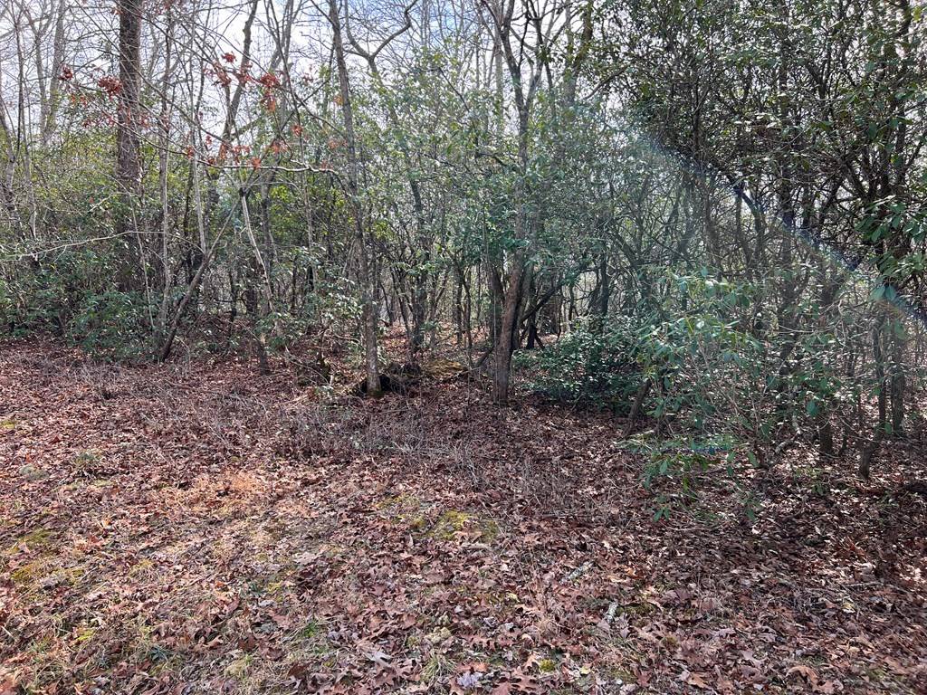 Hayesville, NC 28904,Lts 8&49 Penland Indian Trail