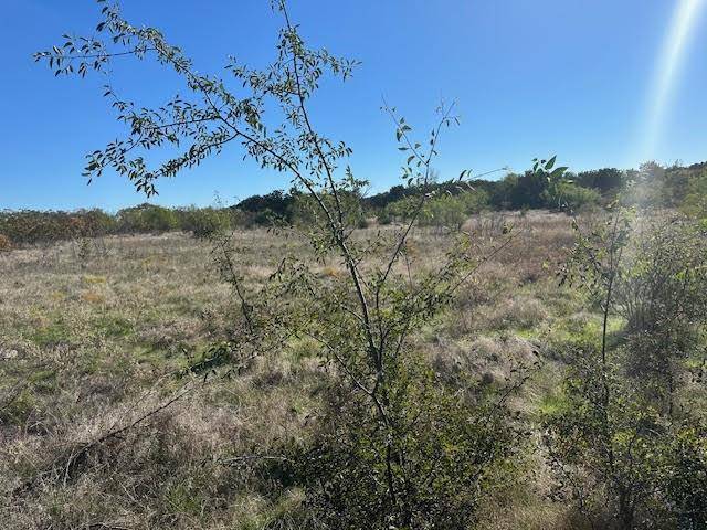 Possum Kingdom Lake, TX 76449,Lot 370 Canyon Wren Loop