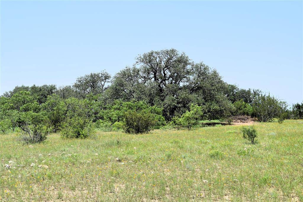 Valera, TX 76884,TBD 78 County Road 404