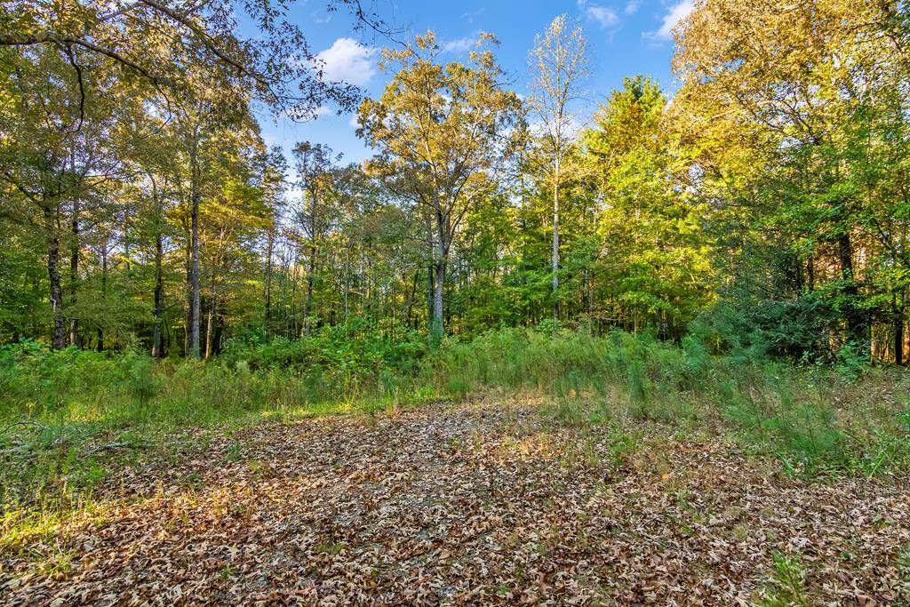 Ellijay, GA 30536,106 Oakwood Trail