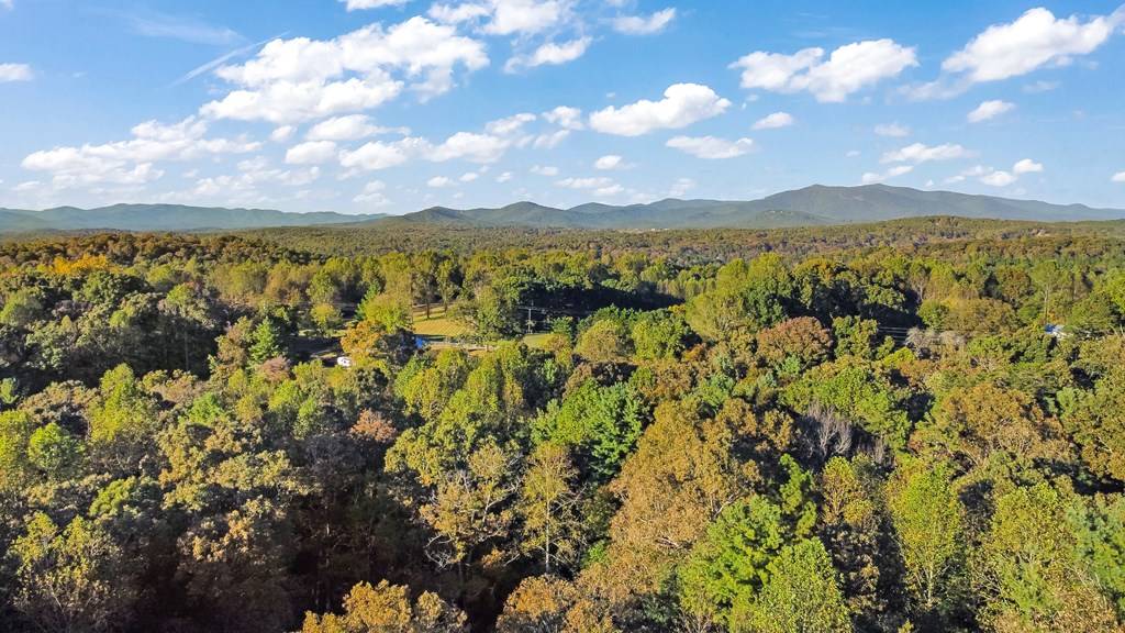 Ellijay, GA 30536,106 Oakwood Trail