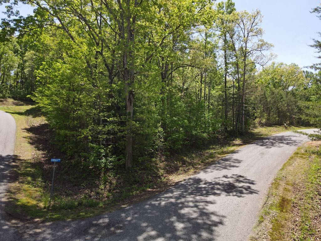 Blairsville, GA 30512,Lot 26 Pleasant Meadows