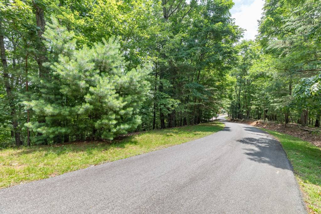 Blairsville, GA 30512,Lot 115 Laurel Brooke