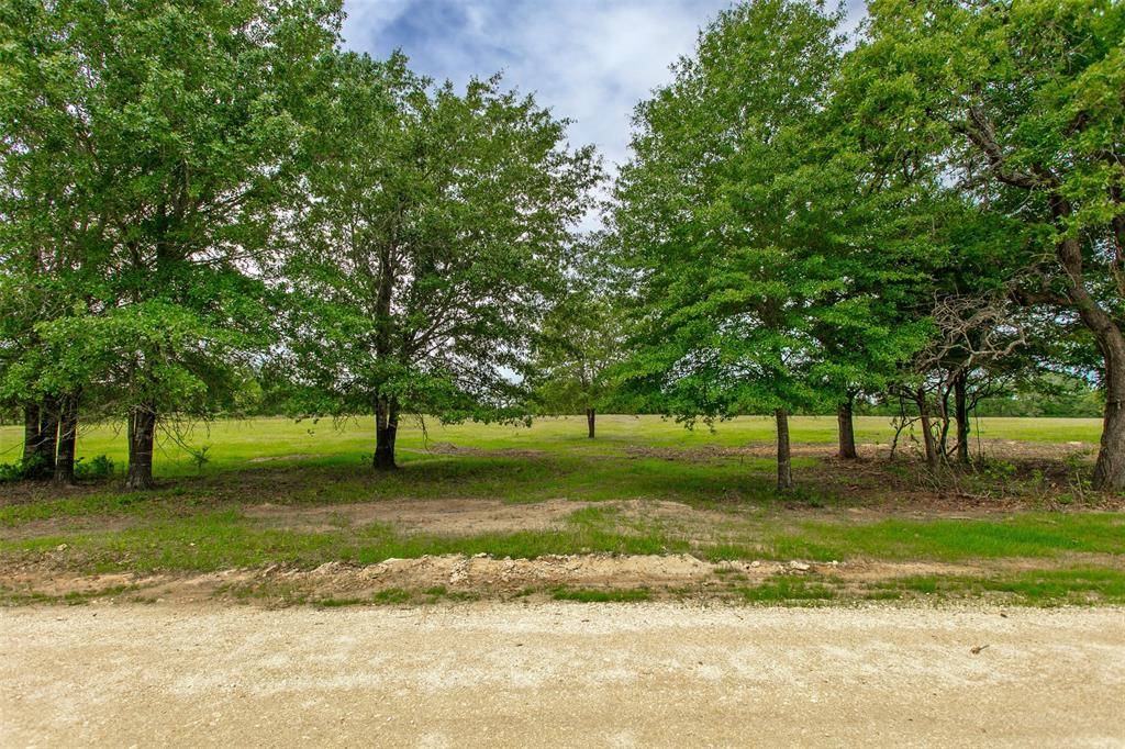 Milano, TX 76556,155 Green Acres Lane