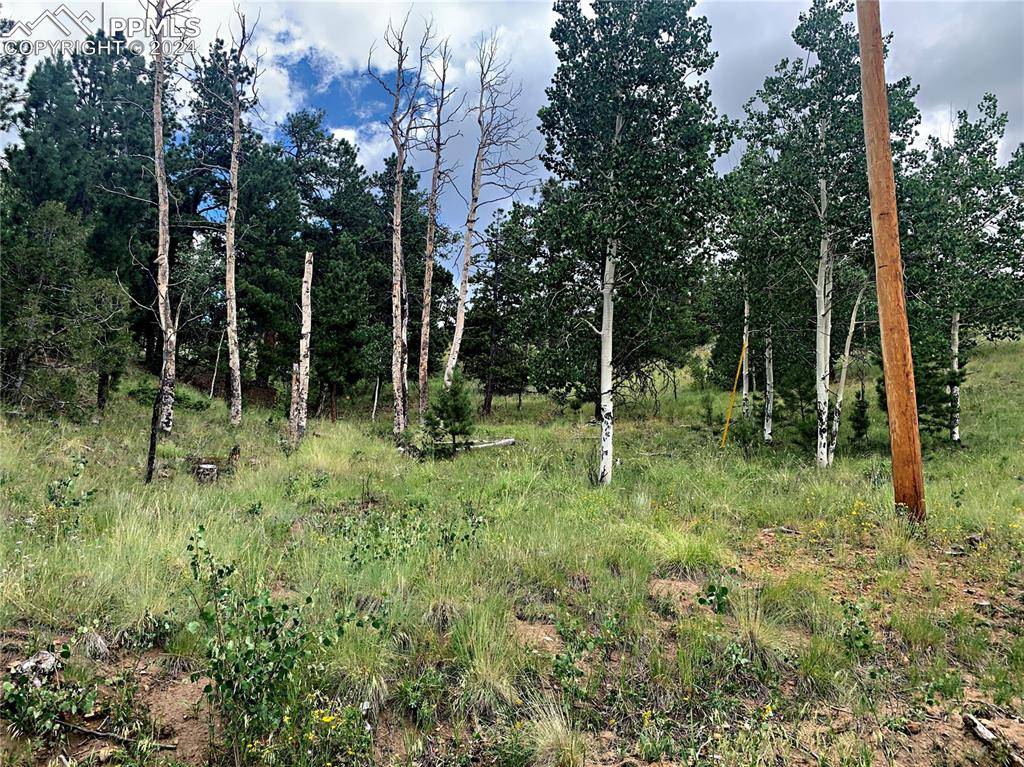 Cripple Creek, CO 80813,952 Penrose CIR