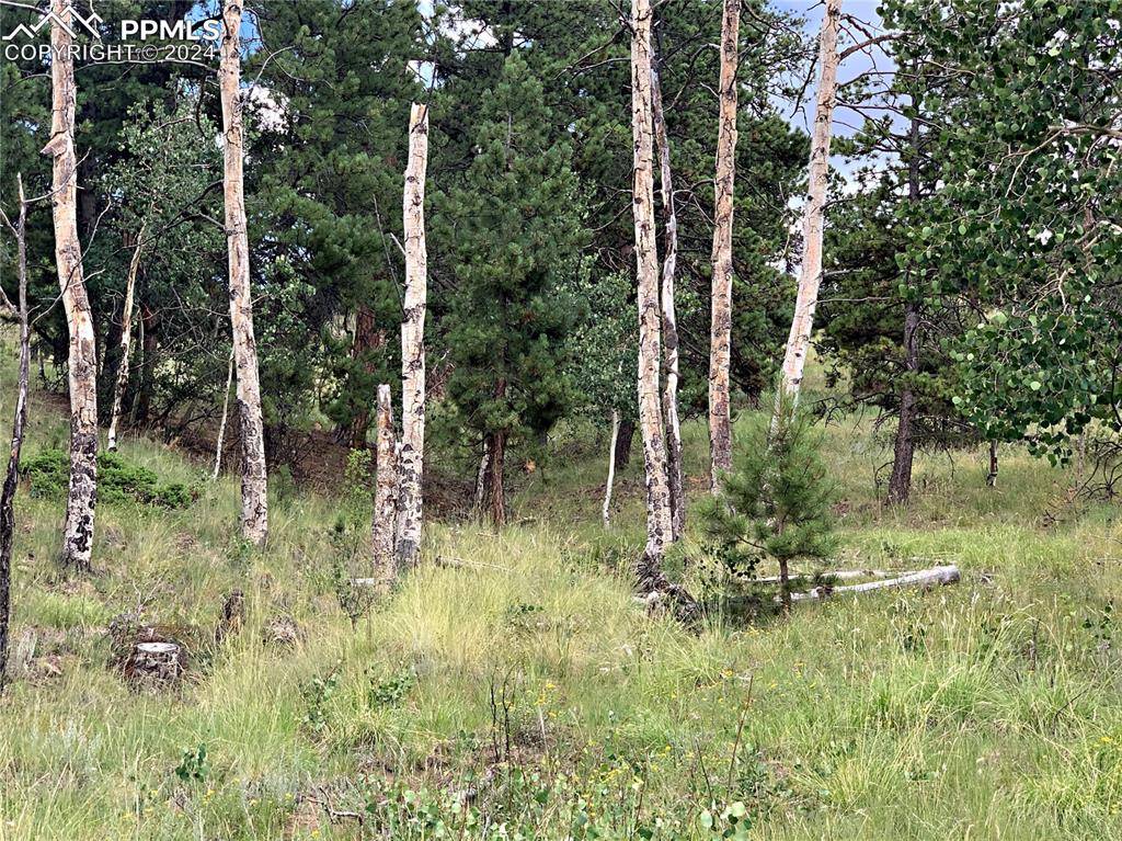 Cripple Creek, CO 80813,952 Penrose CIR