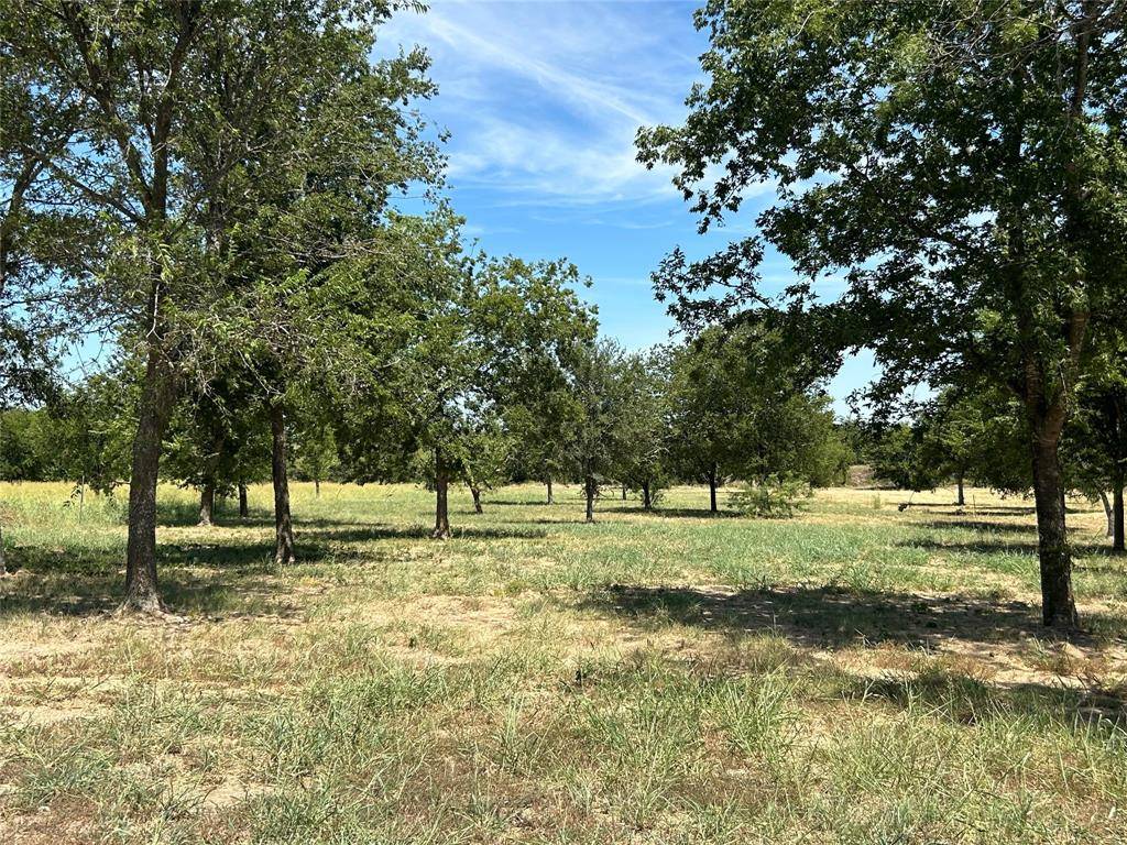 Aledo, TX 76008,3044 Winding Creek Trail